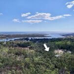 Property photo for land for sale in Taylor County Florida