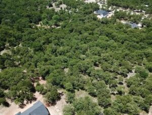 Property photo for land for sale in Wise County Texas