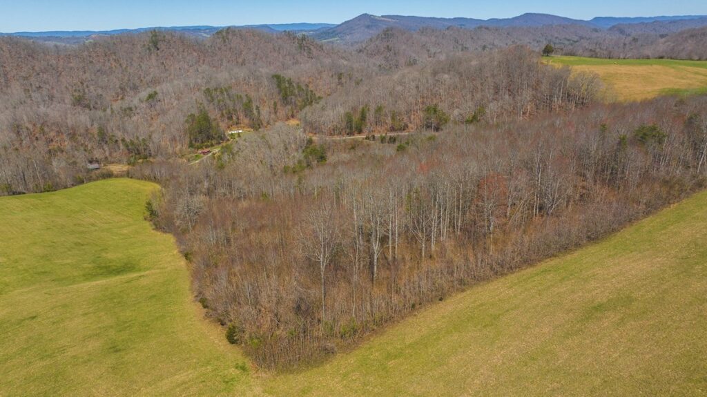 Property photo for land for sale in Claiborne County Tennessee