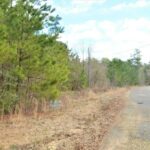 Property photo for land for sale in Pike County Mississippi