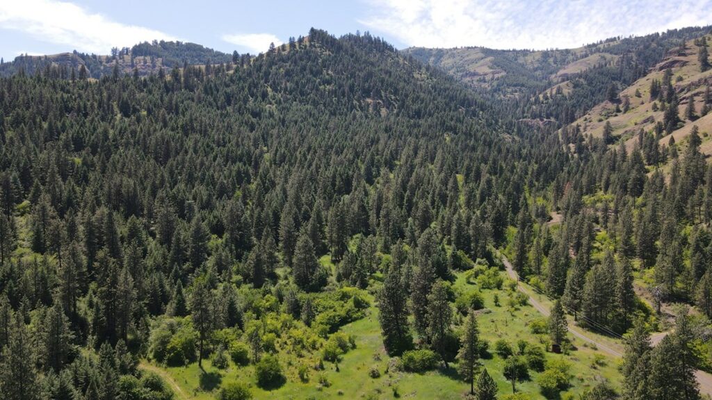 Property photo for land for sale in Idaho County Idaho