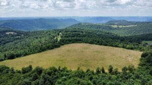 Property photo for land for sale in Newton County Arkansas