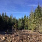 Property photo for land for sale in Bonner County Idaho