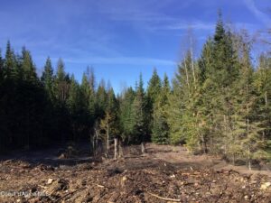 Property photo for land for sale in Bonner County Idaho