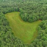 Property photo for land for sale in Forrest County Mississippi