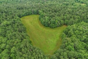 Property photo for land for sale in Forrest County Mississippi