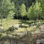 Property photo for land for sale in Alamosa County Colorado