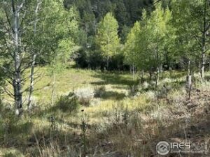 Property photo for land for sale in Alamosa County Colorado