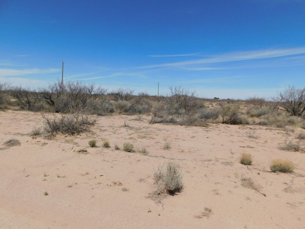 Property photo for land for sale in Luna County New Mexico