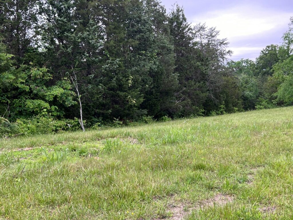 Property photo for land for sale in Hawkins County Tennessee