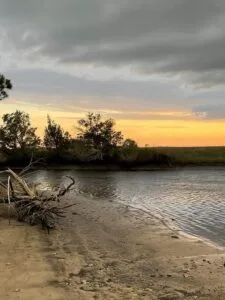 Property photo for land for sale in Dixie County Florida