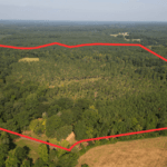 Property photo for land for sale in Cass County Texas