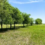 Property photo for land for sale in McLennan County Texas