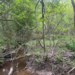 Property photo for land for sale in Hempstead County Arkansas