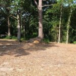 Property photo for land for sale in Wood County Texas