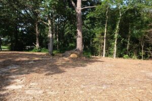 Property photo for land for sale in Wood County Texas