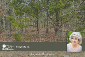 Property photo for land for sale in Izard County Arkansas