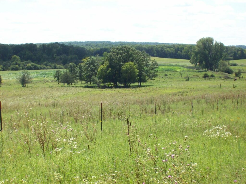 Property photo for land for sale in Green Lake County Wisconsin