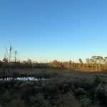 Property photo for land for sale in Bradley County Arkansas