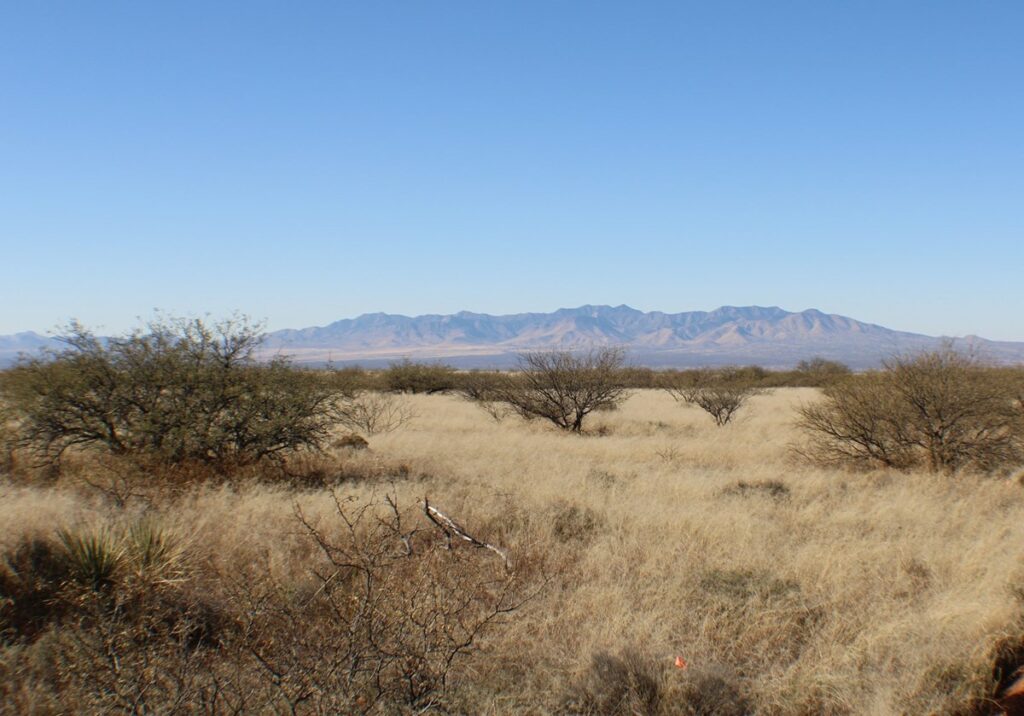 Property photo for land for sale in Cochise County Arizona