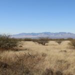 Property photo for land for sale in Cochise County Arizona