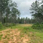 Property photo for land for sale in Amite County Mississippi