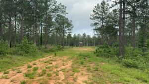 Property photo for land for sale in Amite County Mississippi