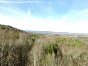 Property photo for land for sale in Wythe County Virginia