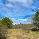 Property photo for land for sale in Penobscot County Maine