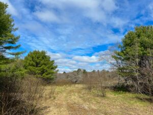 Property photo for land for sale in Penobscot County Maine