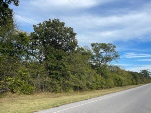 Property photo for land for sale in Sharp County Arkansas