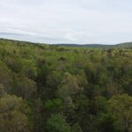 Property photo for land for sale in Pushmataha County Oklahoma