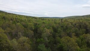 Property photo for land for sale in Pushmataha County Oklahoma