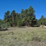 Property photo for land for sale in Larimer County Colorado