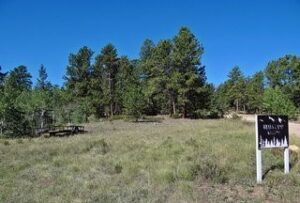 Property photo for land for sale in Larimer County Colorado