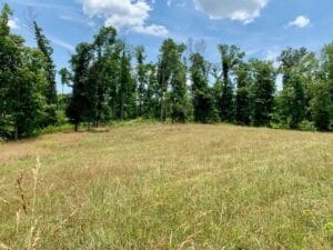 Property photo for land for sale in DeKalb County Tennessee