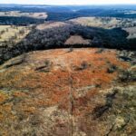 Property photo for land for sale in Ozark County Missouri