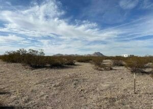 Property photo for land for sale in Luna County New Mexico