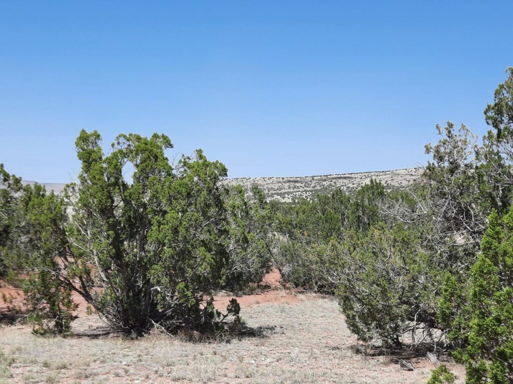 Property photo for land for sale in Yavapai County Arizona