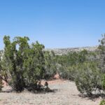 Property photo for land for sale in Yavapai County Arizona