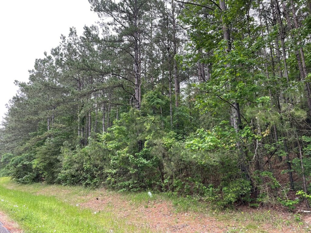 Property photo for land for sale in Houston County Texas