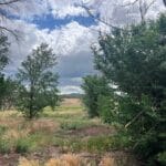 Property photo for land for sale in Montezuma County Colorado