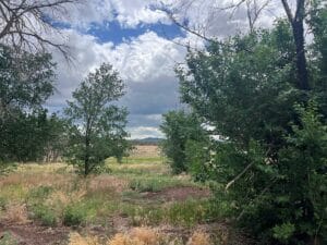 Property photo for land for sale in Montezuma County Colorado