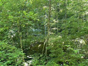 Property photo for land for sale in Boone County Arkansas