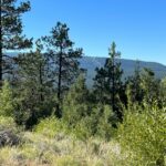 Property photo for land for sale in Rio Arriba County New Mexico