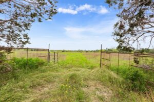 Property photo for land for sale in Coryell County Texas