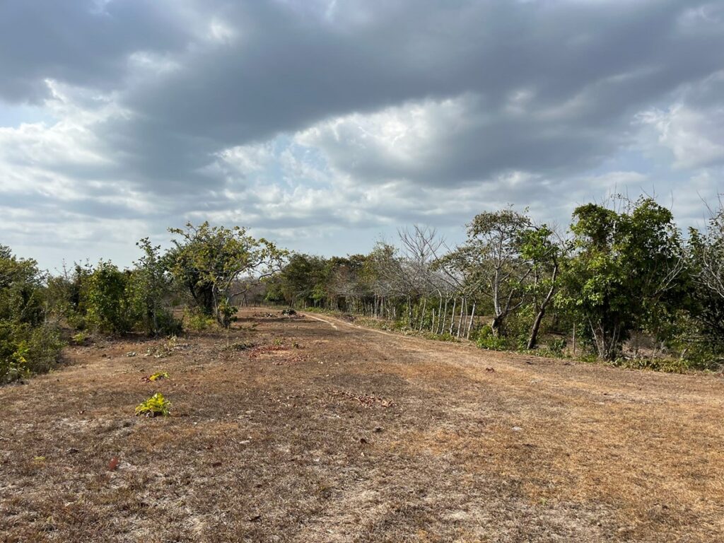 Property photo for land for sale in  County Panama