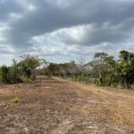 Property photo for land for sale in  County Panama