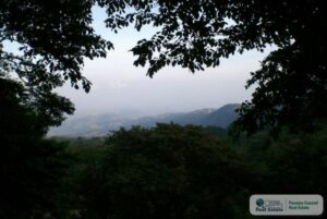 Property photo for land for sale in  County Panama