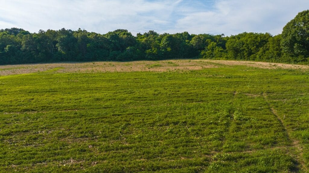 Property photo for land for sale in Greene County Tennessee